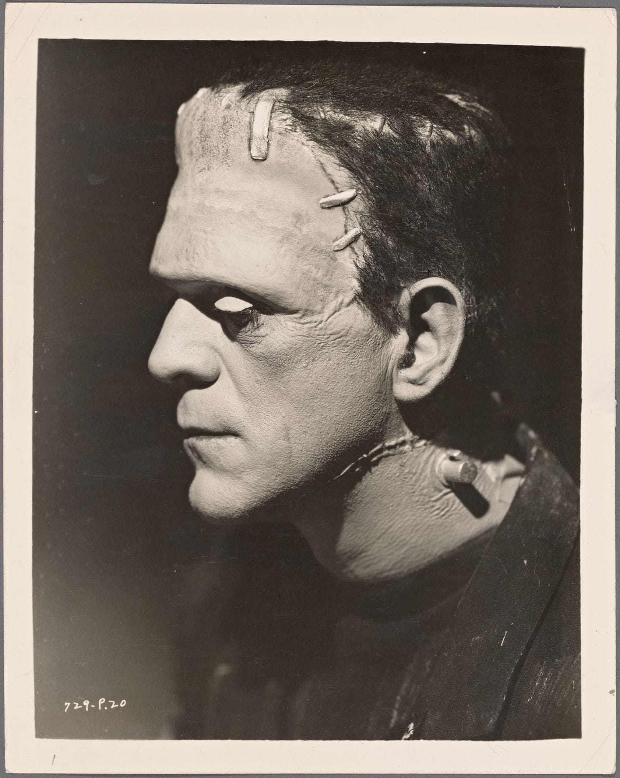 A sepia photograph of a man-monster in profile. He is distorted, skin secured with bolts. His heavy lids are melancholy, but he is beautiful