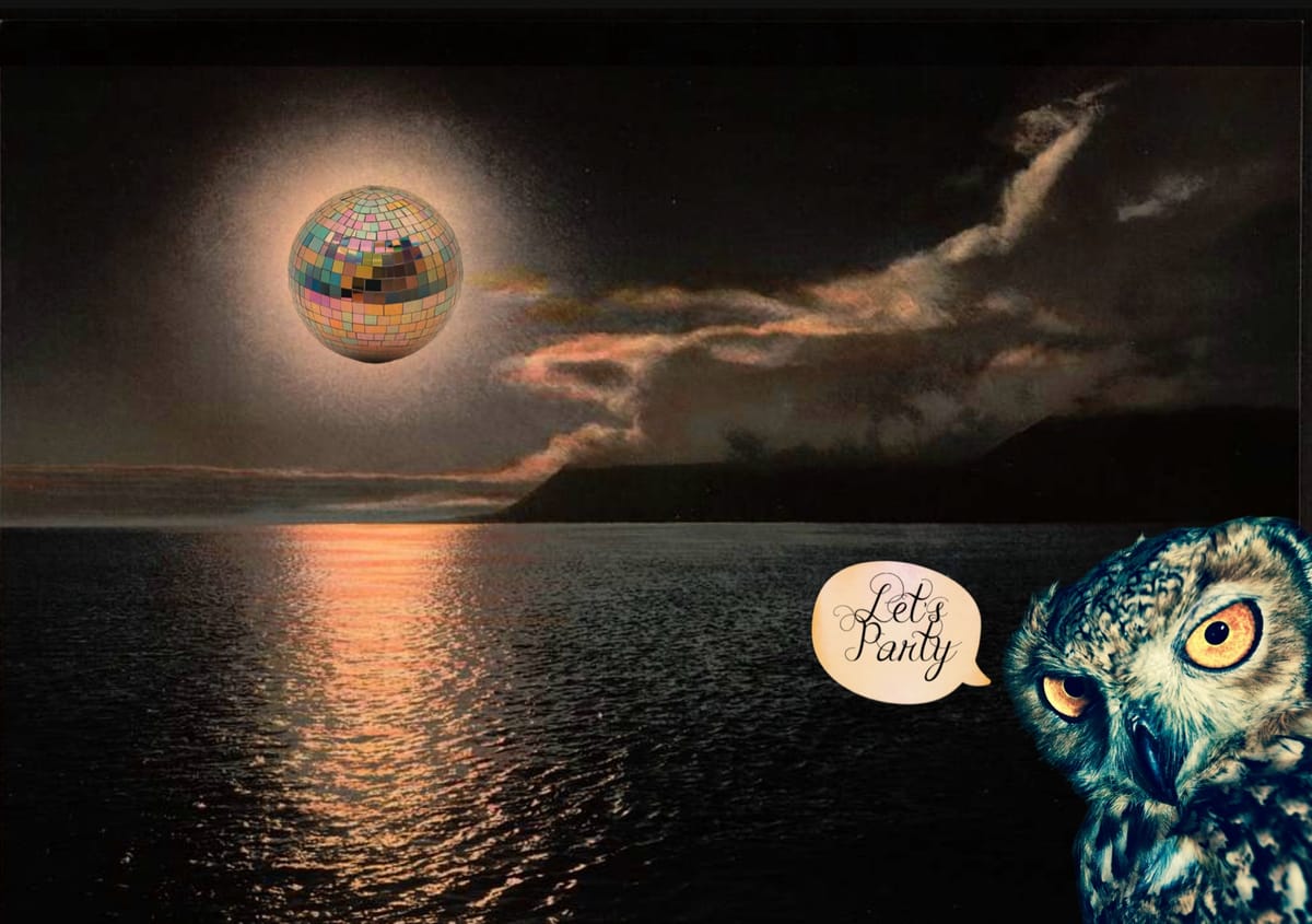 A digital collage of a night seascape with a disoball moon and owl saying "let's party"