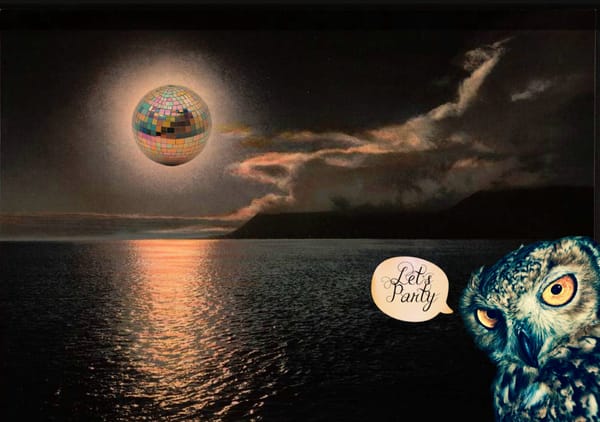 A digital collage of a night seascape with a disoball moon and owl saying "let's party"